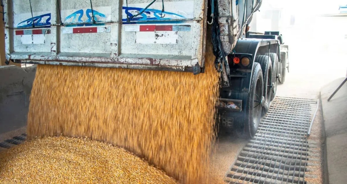 Frete tabelado: governo aperta fiscalização e agro fica mais resistente
